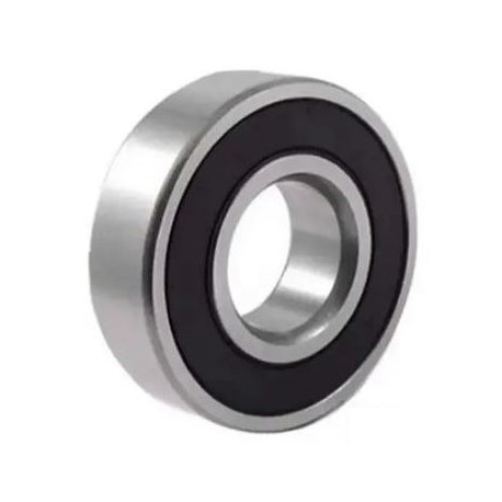 62205-2RS1 Підшипник Gaspardo